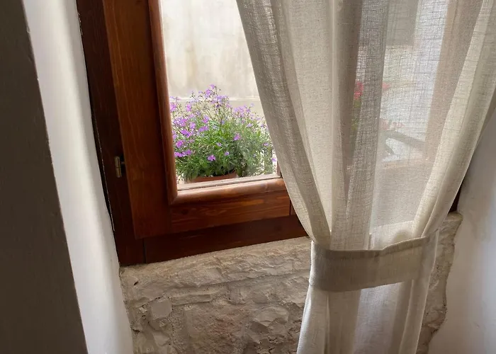 Donna Maria Couette-café